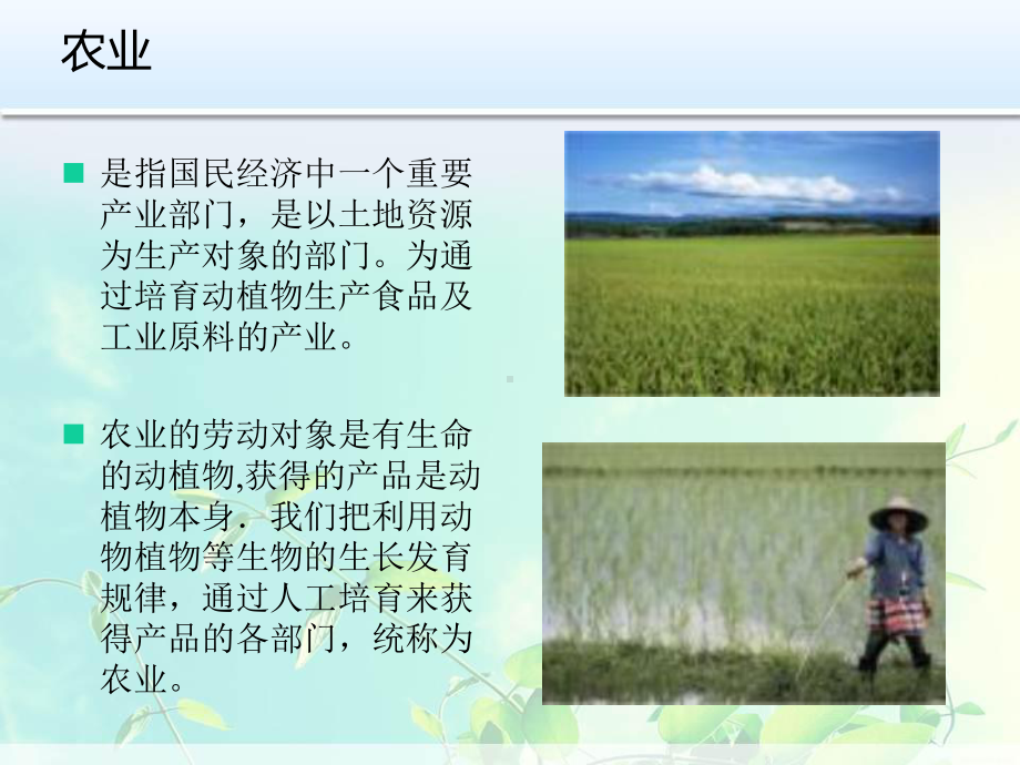 对农的认识课件.ppt_第3页