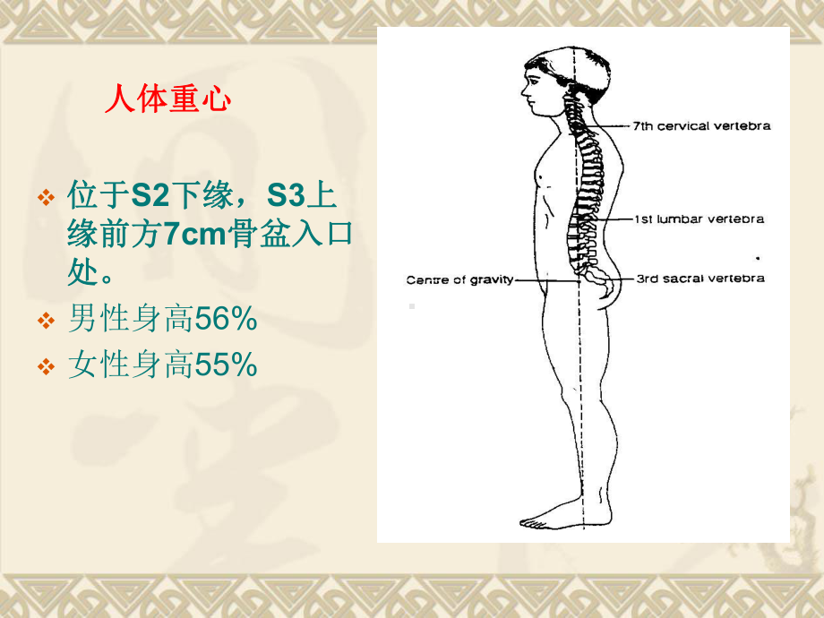 实验室评定平衡测试系统课件.ppt_第3页