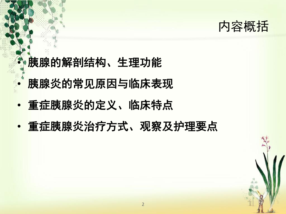 急性重症胰腺炎的观察护理;ppt课件.ppt_第2页