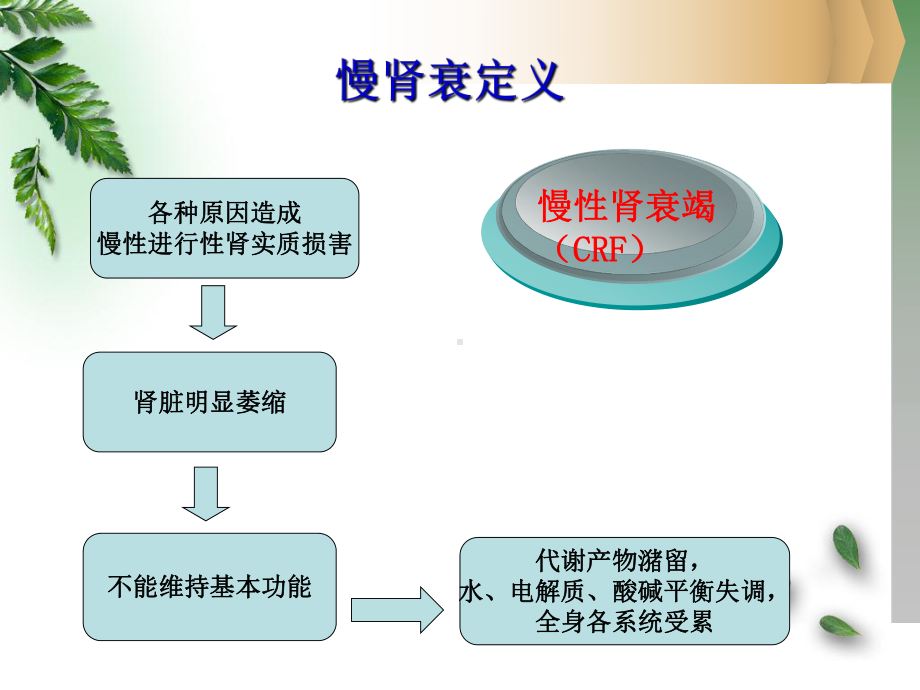 慢肾衰中医护理查房课件.ppt_第3页