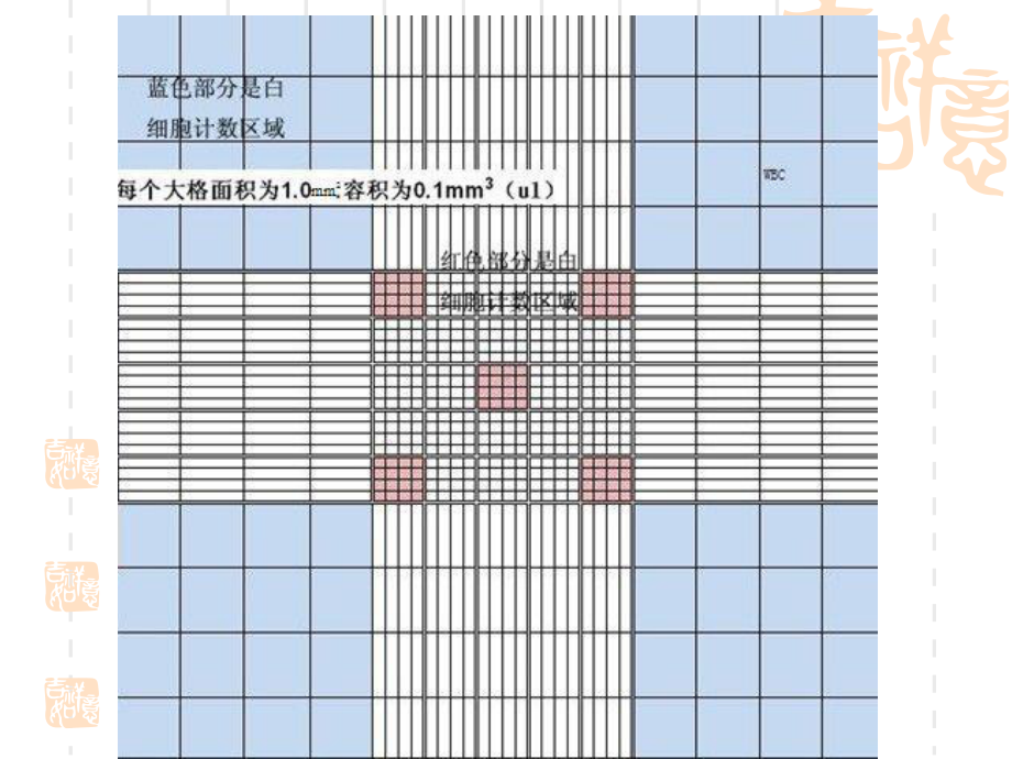 微生物实验显微镜直接计数法课件.ppt_第3页