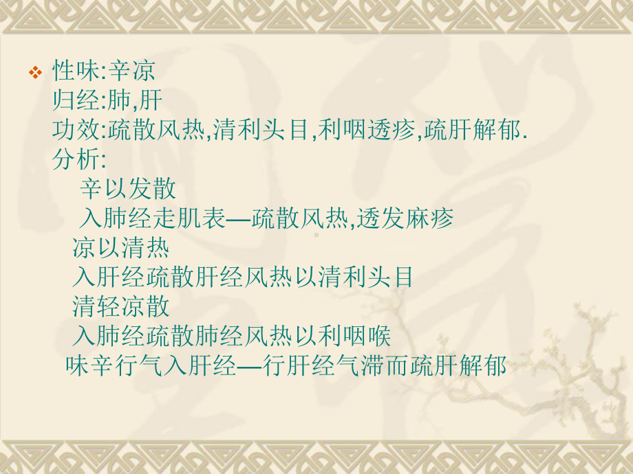 中药学发散风热药课件.ppt_第2页