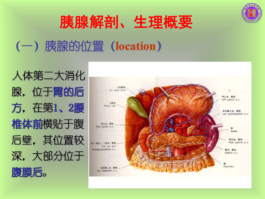 急性胰腺炎的护理ppt课件.ppt_第3页