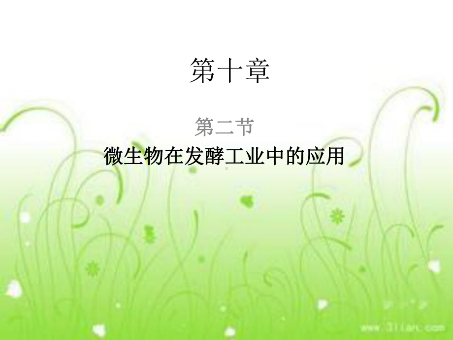 微生物在发酵工业中的应用讲解课件.ppt_第1页