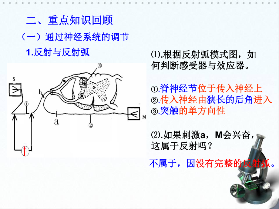 必修三第二章《动物和人体生命活动的调节》复习课课件.ppt_第3页