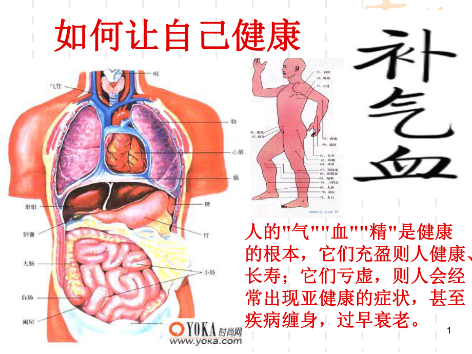 中医气血医学PPT课件.ppt_第1页