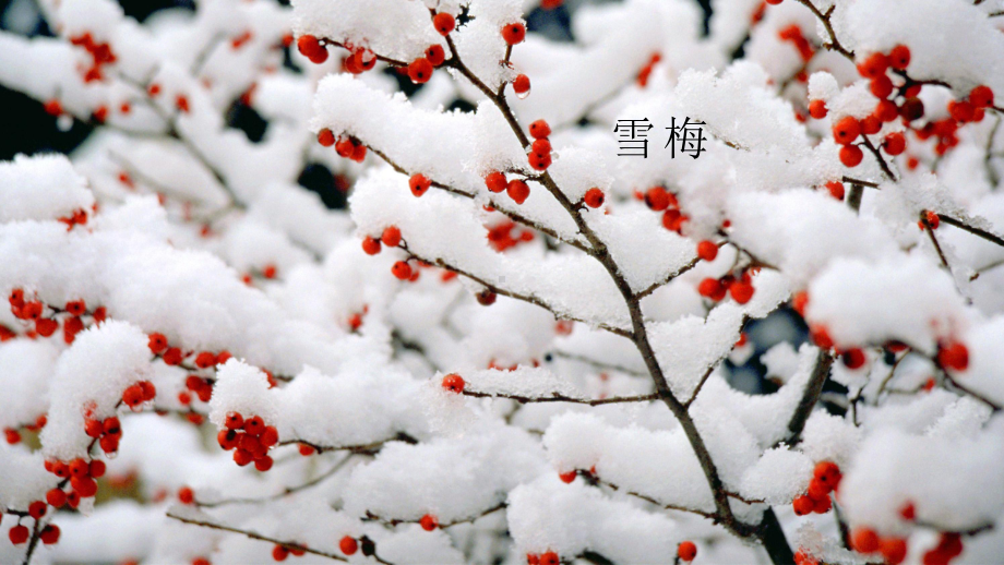 《雪梅》完整课件PPT2.pptx_第2页