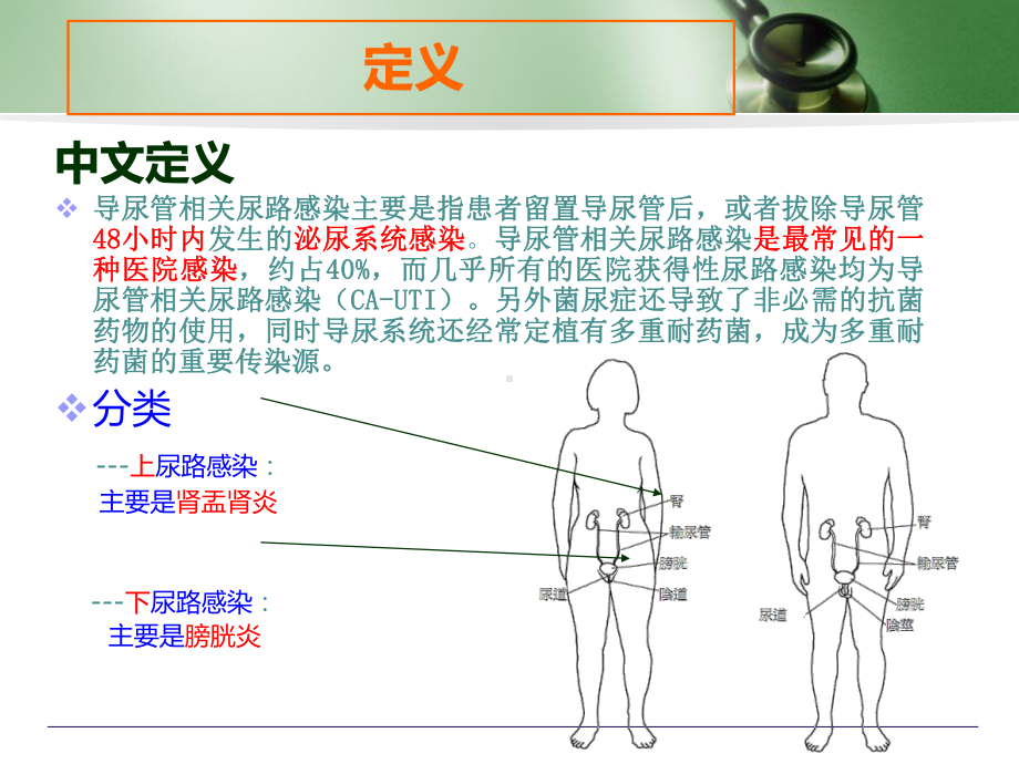 导管相关尿路感染课件.ppt_第3页