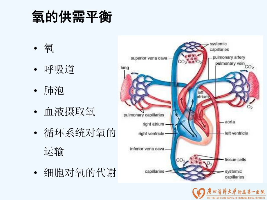 中心静脉血氧饱和度监测在ICU中应用课件.ppt_第3页