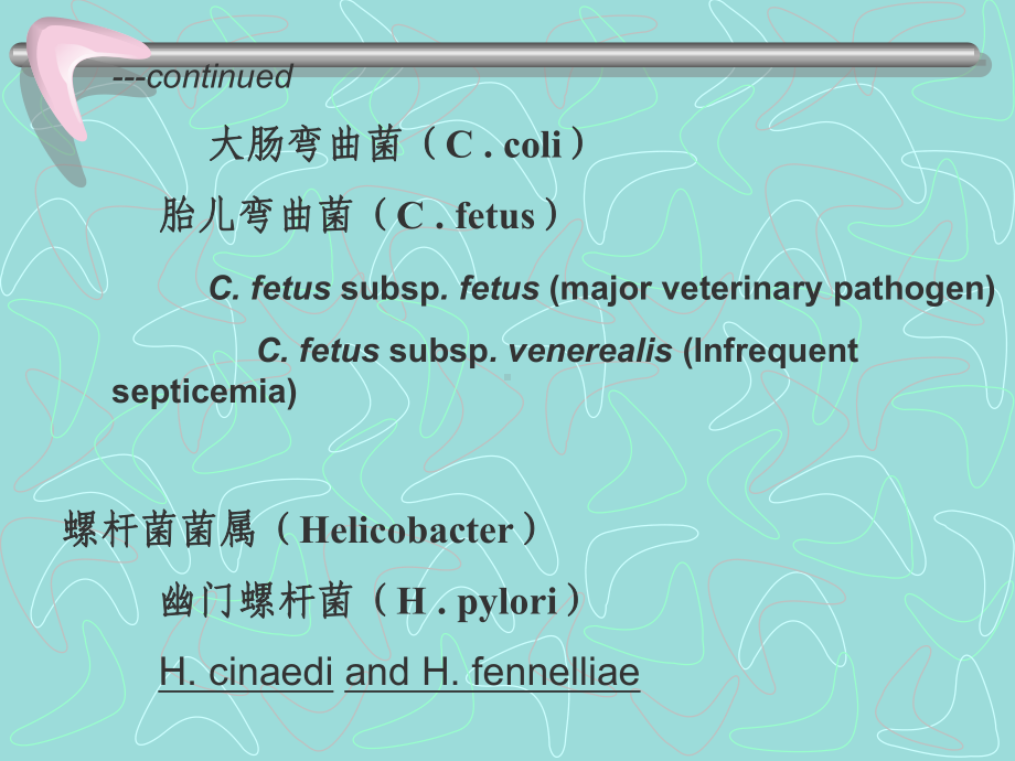 弯曲菌属和螺杆菌属课件.ppt_第3页