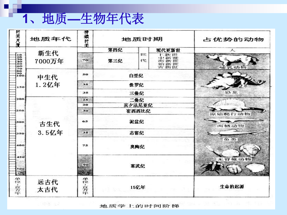 恐龙灭绝的启示课件.ppt_第2页