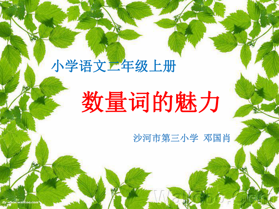 微课数量词的魅力课件.ppt_第1页