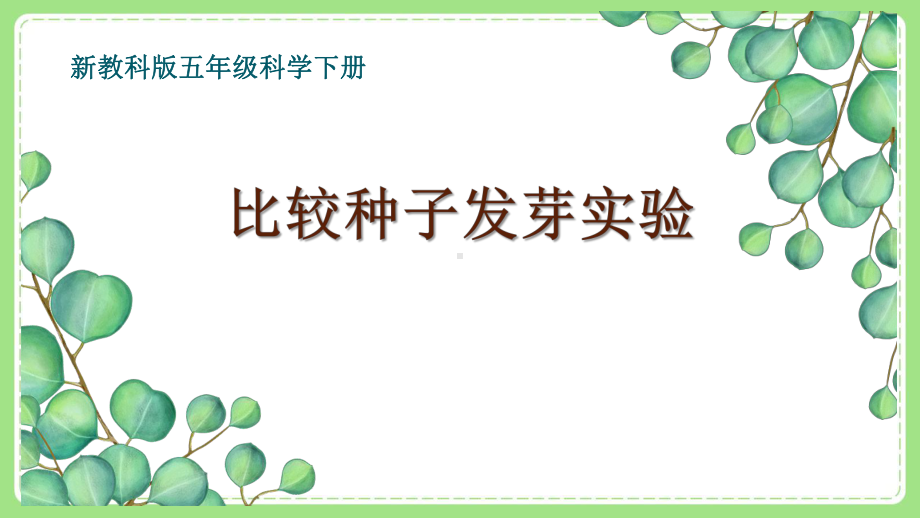 新教科版5年级科学下册第一单元《2比较种子发芽实验》课件.pptx_第1页