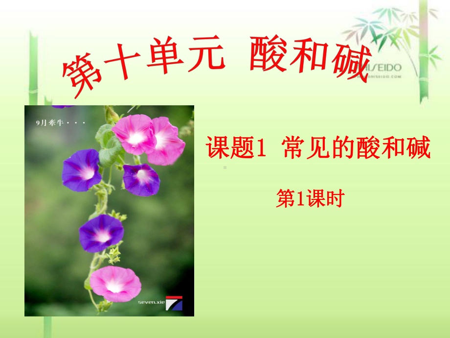 常用的酸碱指示剂有石蕊溶液课件.ppt_第1页