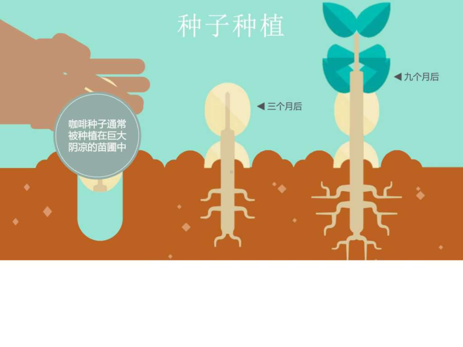 一颗咖啡豆的奇幻之旅动态动画演示模版课件.ppt_第2页