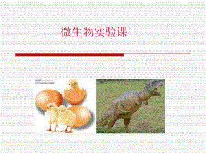 微生物实验课讲解课件.ppt