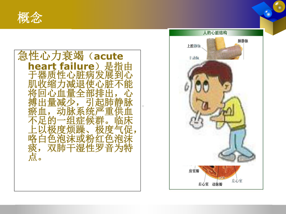 急性左心衰的护理查房ppt课件.ppt_第3页