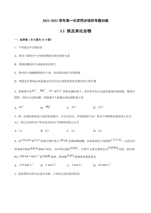 3.1 铁及其化合物同步培优专题训练-（2019）新人教版高中化学高一必修第一册.docx