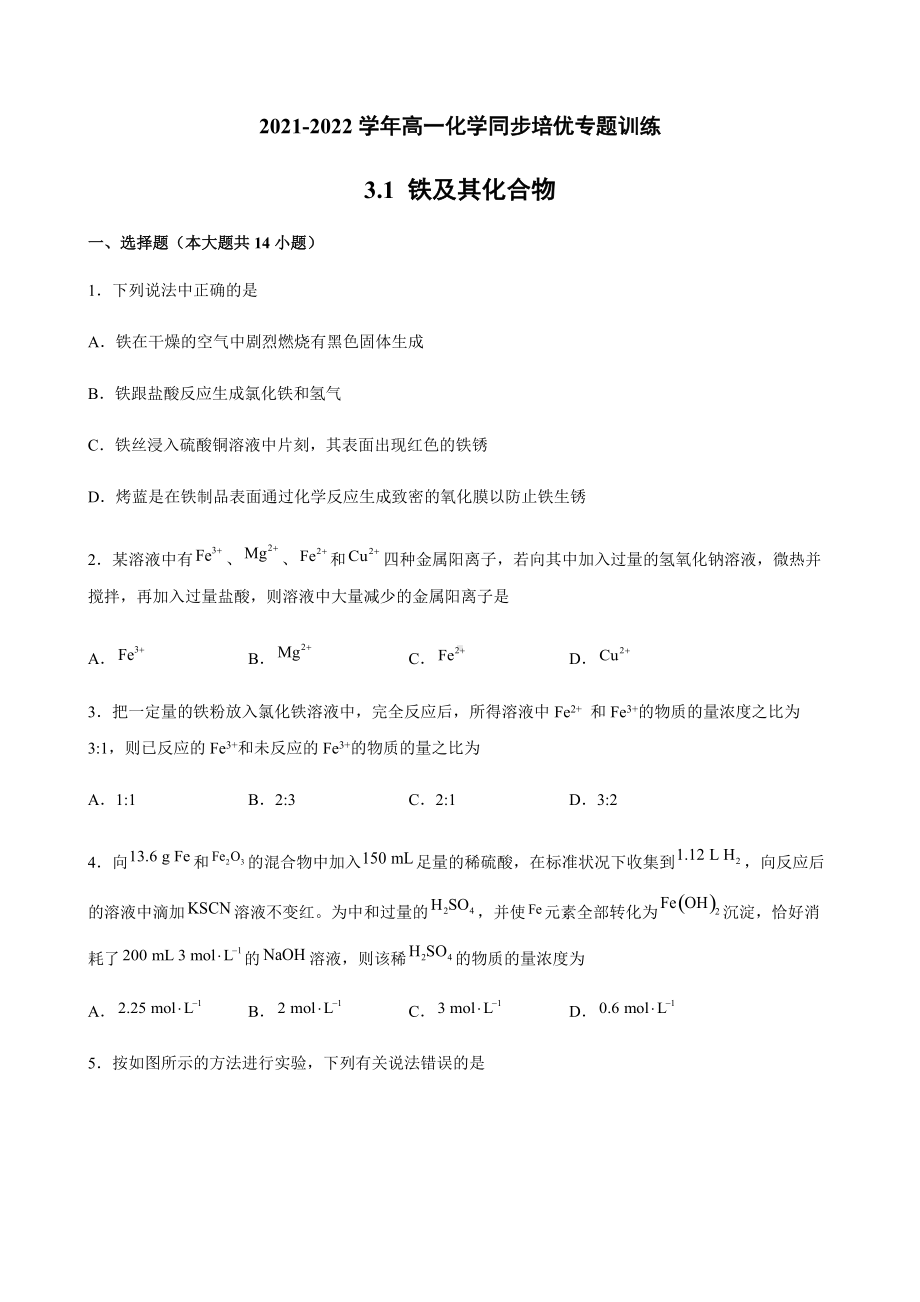 3.1 铁及其化合物同步培优专题训练-（2019）新人教版高中化学高一必修第一册.docx_第1页