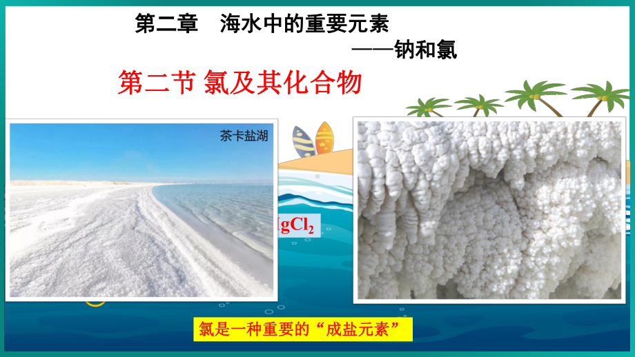 2.2+氯及其化合物（共两课时）ppt课件-（2019）新人教版高中化学必修第一册.pptx_第1页