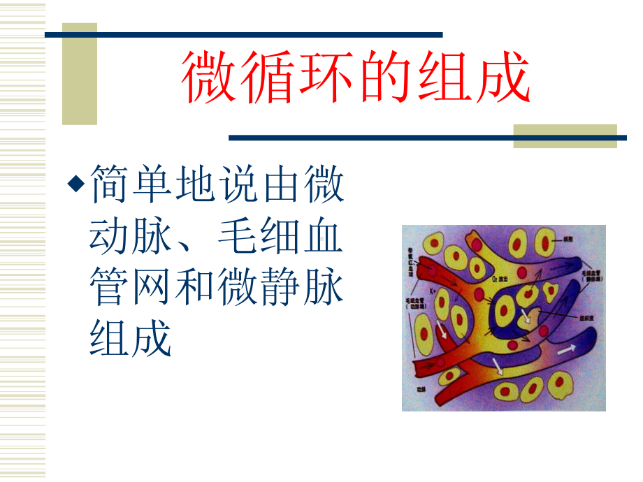 微循环之健康课件.ppt_第2页