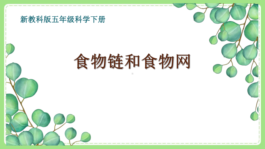 新教科版5年级科学下册第一单元《6食物链和食物网》课件.pptx_第1页