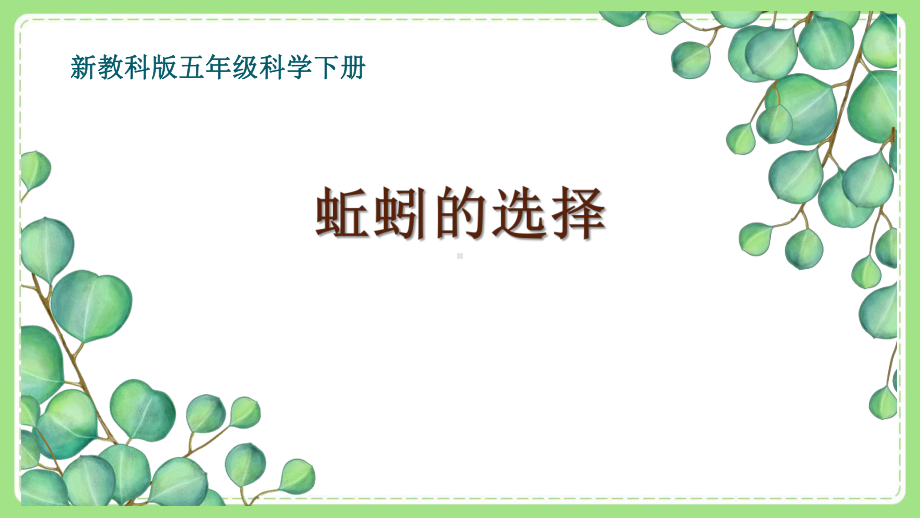 新教科版5年级科学下册第一单元《4蚯蚓的选择》课件.pptx_第1页