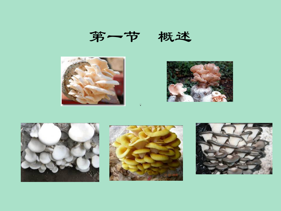 平菇栽培技术课件.ppt_第2页