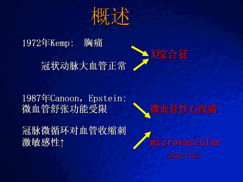 心脏X综合征PPT课件.ppt_第2页