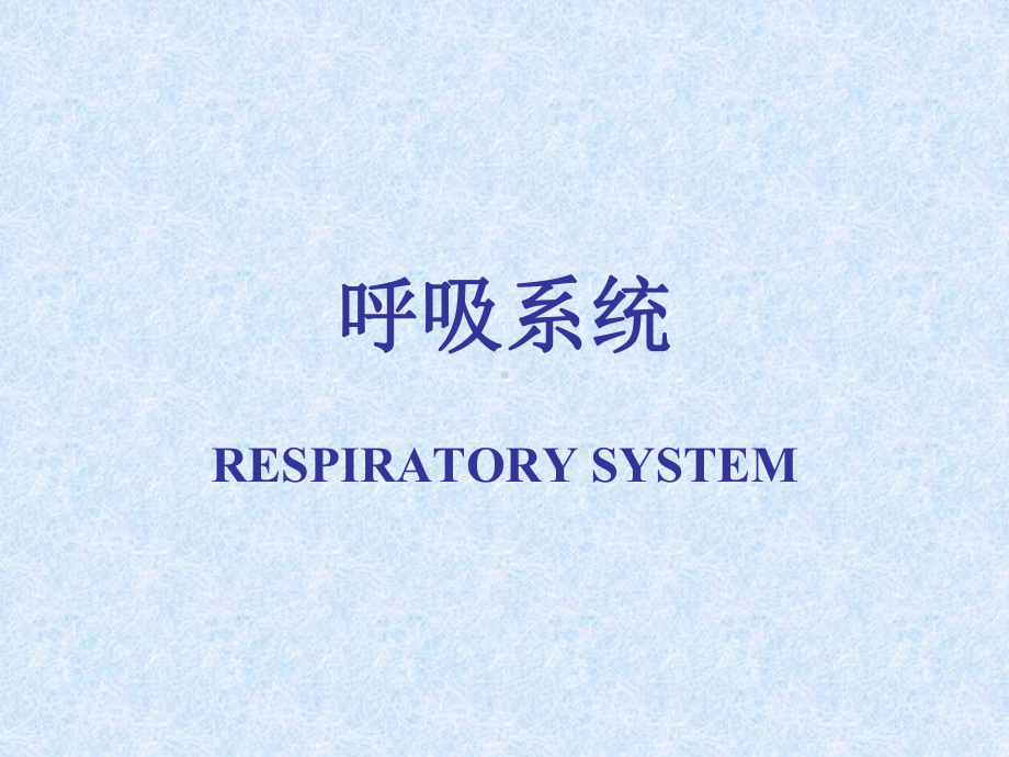 呼吸系统PPT课件.pptx_第1页