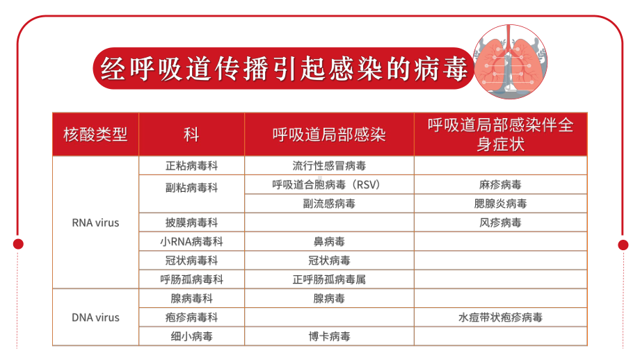 红色简约呼吸道病毒概述与新冠感染图文PPT教学课件.pptx_第3页