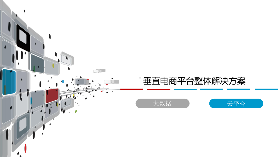 垂直电商平台整体解决方案课件.pptx_第1页