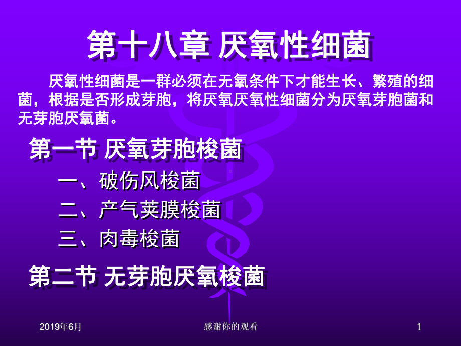 厌氧性细菌厌氧性细菌是一群必须在无氧条件下才能生长课件.pptx_第1页