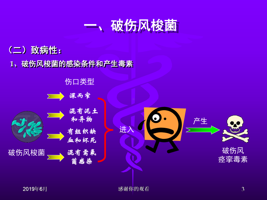 厌氧性细菌厌氧性细菌是一群必须在无氧条件下才能生长课件.pptx_第3页