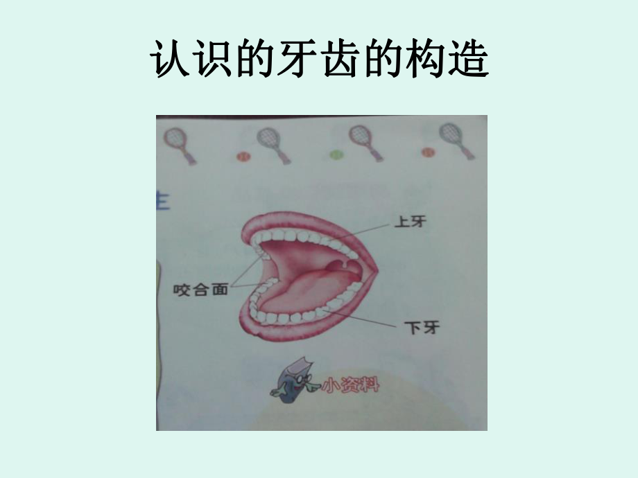 我们爱整洁-PPT精品教学课件.pptx_第3页