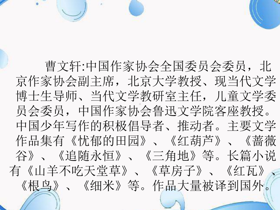 五年级组读书汇报课-青铜葵花课件.ppt_第2页