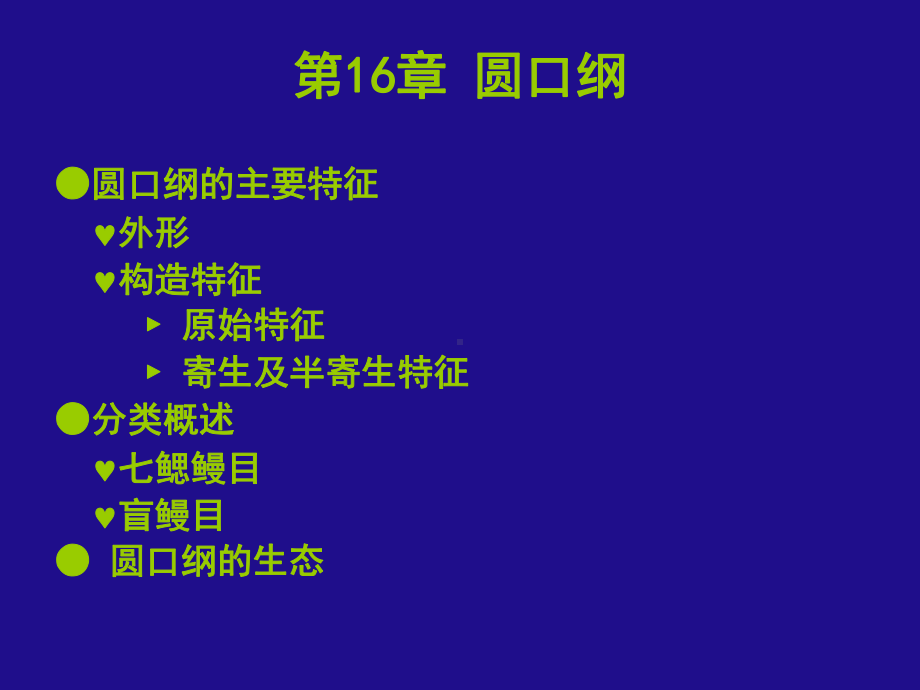 圆口纲课件.ppt_第1页