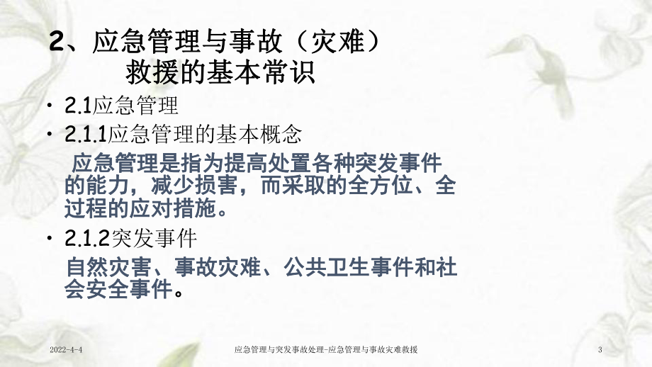 应急管理与突发事故处理-应急管理与事故灾难救援课件.ppt_第3页