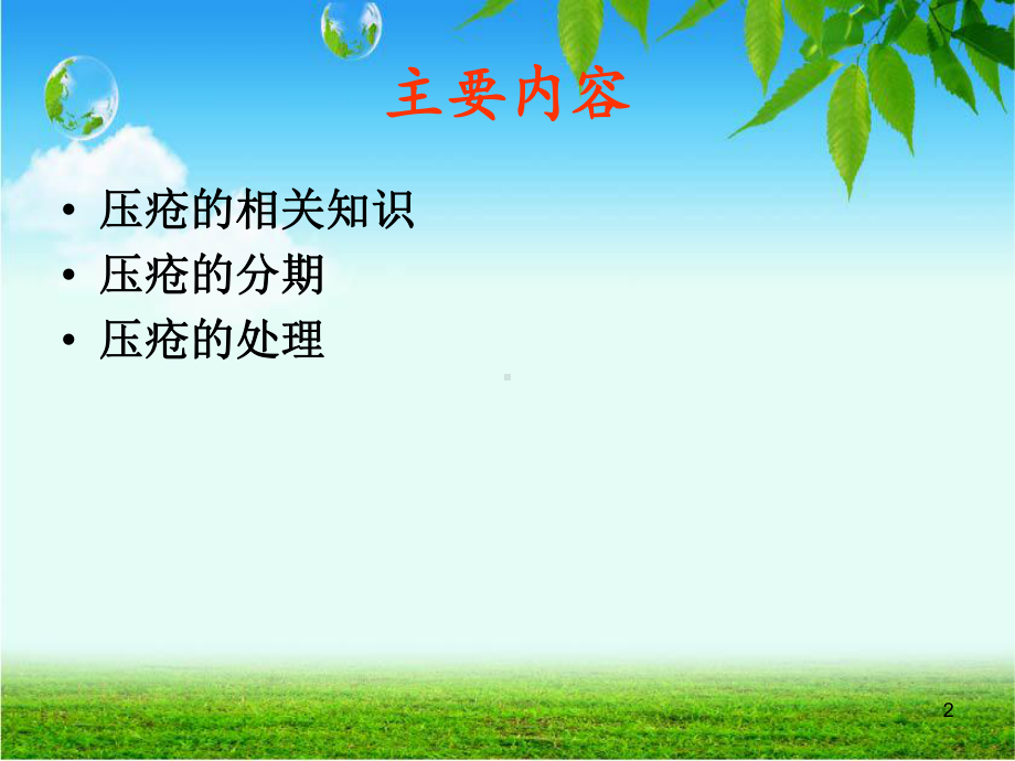 压疮的治疗和护理PPT幻灯片课件.ppt_第2页