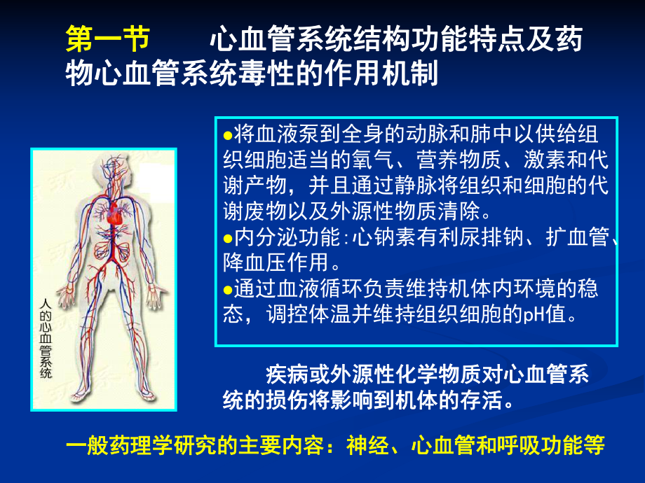 心血管(病理毒理学)课件.ppt_第3页