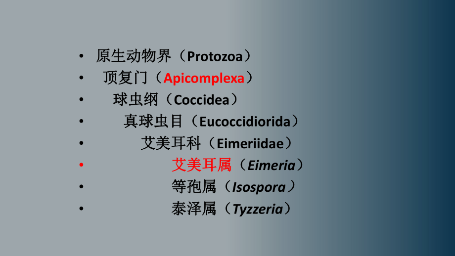 家禽的常见寄生虫病课件.pptx_第3页