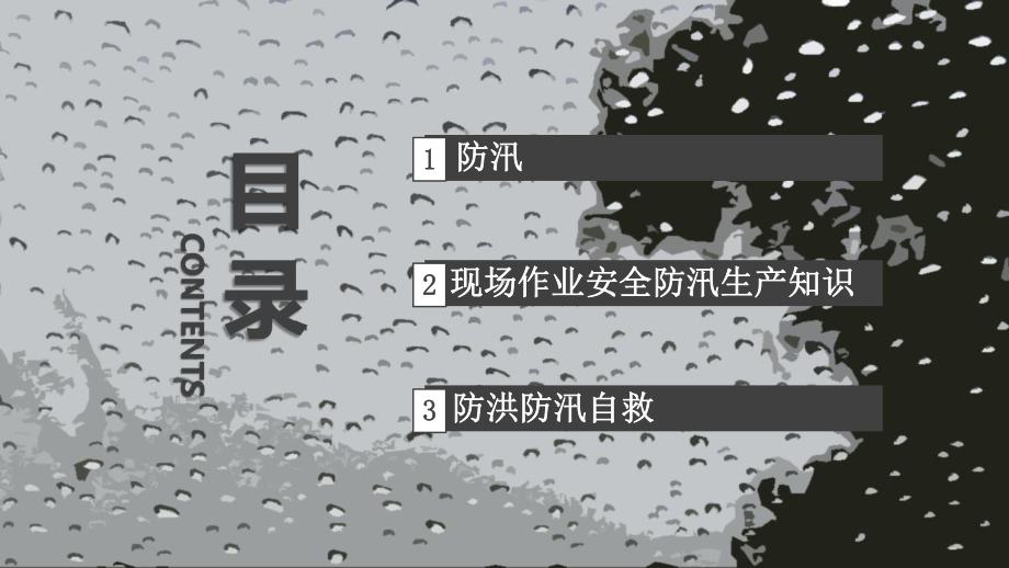 商务风企业安全防汛知识企业安全生产培训讲课PPT课件.pptx_第3页