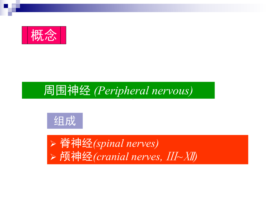 周围神经运动、感觉系统课件.ppt_第2页