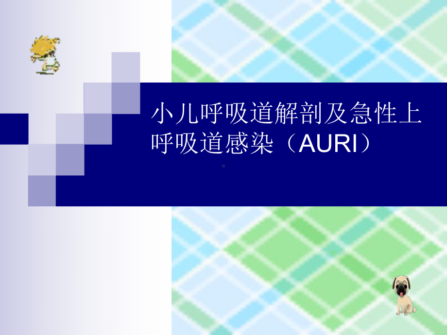 小儿呼吸道解剖与急性上呼吸道感染(AUR)-《儿科学》课件.ppt_第1页