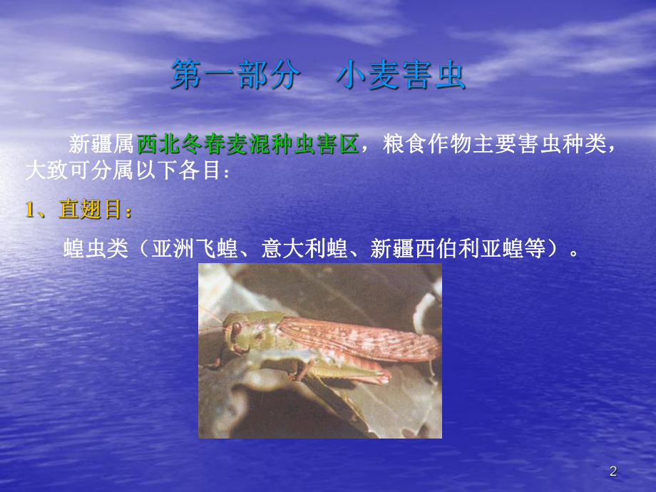 小麦病虫害防治ppt课件.ppt_第2页