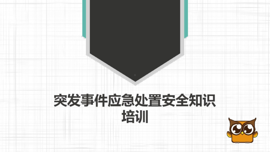 突发事件现场处置安全知识培训(PPT).pptx_第1页