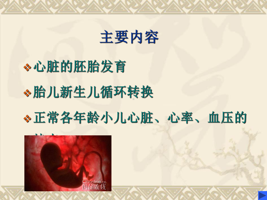 小儿循环系统解剖特点课件.ppt_第2页