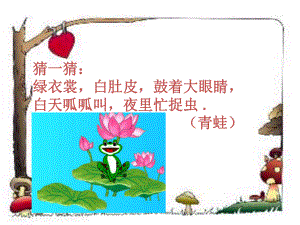 小蝌蚪找妈妈.ppt--bb课件.ppt