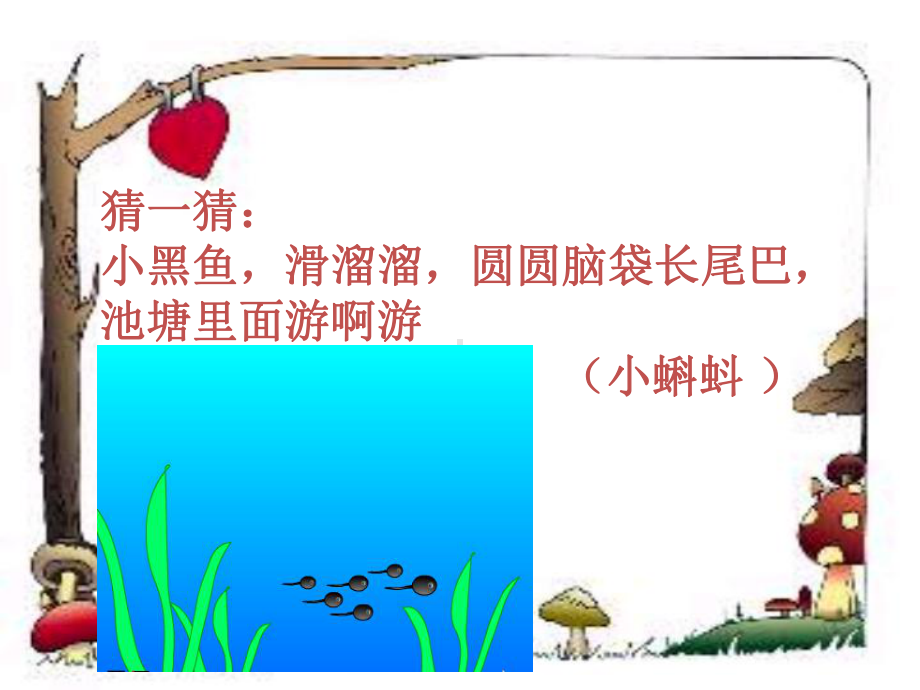 小蝌蚪找妈妈.ppt--bb课件.ppt_第2页