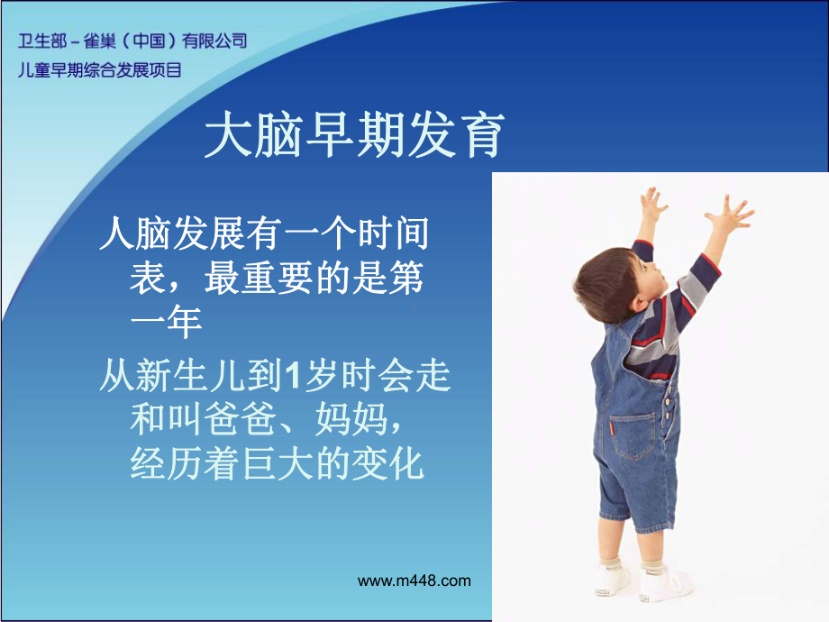 婴幼儿早期教育培训教材课件.ppt_第2页